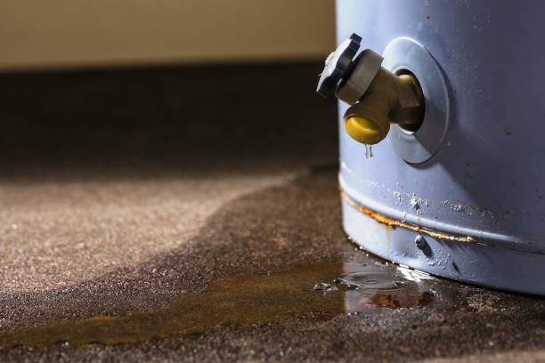 Best 24/7 water damage repair  in Citrus, CA