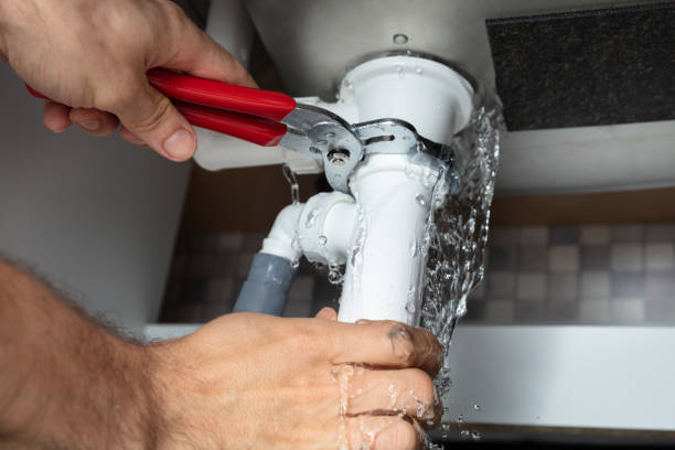 Best Flooded house restoration  in Citrus, CA