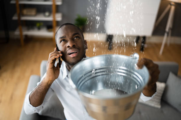 Best Mold removal after water damage  in Citrus, CA