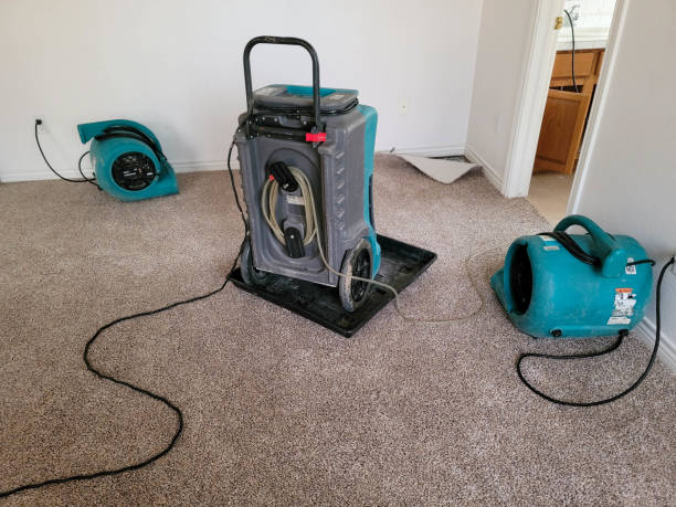 Best Flood restoration services  in Citrus, CA