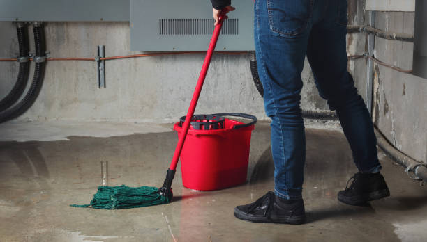  Citrus, CA Water damage restoration Pros