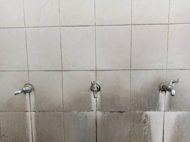 Best Commercial water damage restoration  in Citrus, CA