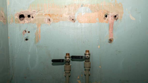 Best Residential water damage restoration  in Citrus, CA