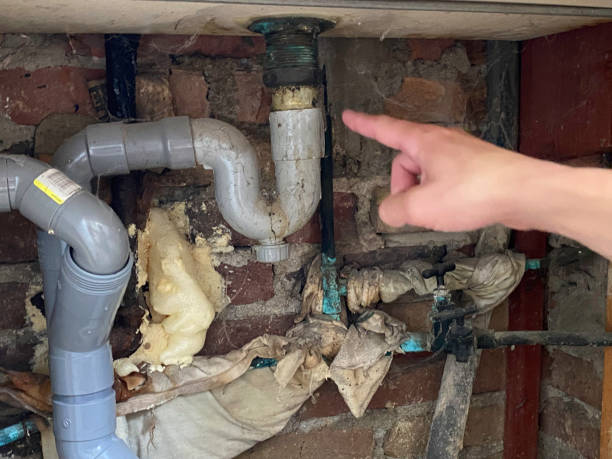 Best 24-hour water damage restoration  in Citrus, CA